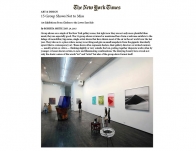 Roberta Smith for New York Times