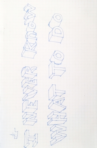 I Never Know What To Do, 2005