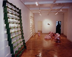 Artist made shelving in gallery