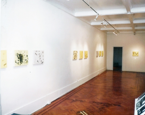 Sue Williams installation gallery view
